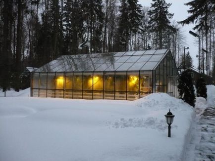 Castraveți în sera de iarnă pentru creșterea castraveților pe tot parcursul anului, tehnologia de plantare și de îngrijire în timpul iernii