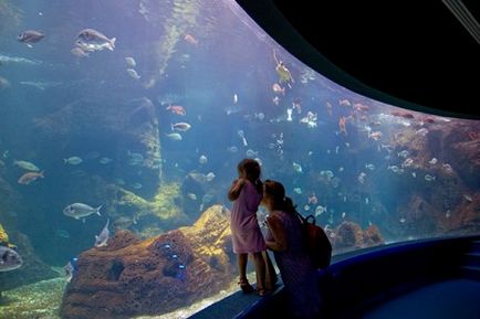 Oceanarium на Крит, Гърция Фото атракции