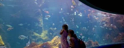 Oceanarium pe insula Creta, Grecia descriere, ore de funcționare, cost, locație pe hartă