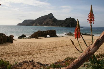 Vacanță în Madeira în august