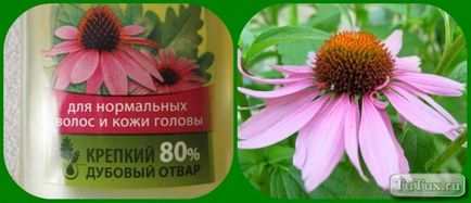 Відгуки про шампунь чиста лінія розумний шампунь для нормального волосся