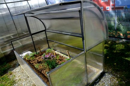 Greenhouse csiga újító saját kezével és a pillangó, breadbox üvegház és vélemények