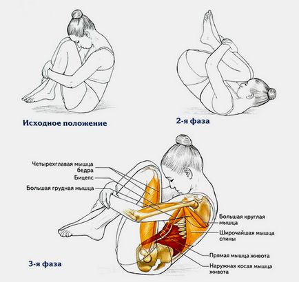 Перекати на спині - вправа пілатес