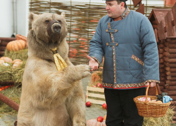 Петровський шляховий палац - організація весілля, реєстрація