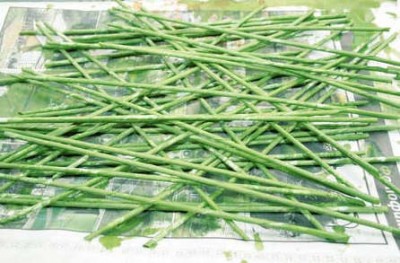 Szövés újság csövek (csövek) Weaving újság csövek