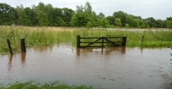 Чому після кави треба пити воду - все про воду