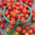 Підживлення томата під час плодоношення кращі засоби
