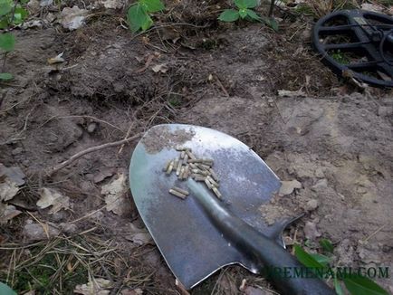 Căutând monede de către un detector de metale în vară, un blog al unui căutător tânăr