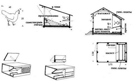 Ansambluri de păsări de curte și animale mici, arhitectura și design, director