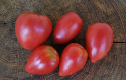 Tomato roz flamingo (30 pics) rosii, caracteristici, seminte, recenzii