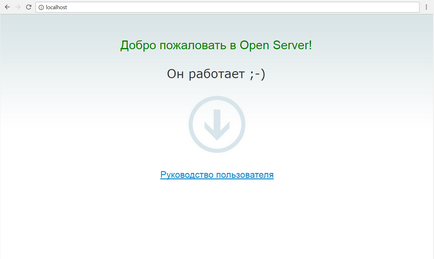 Покрокова установка open server на комп'ютер