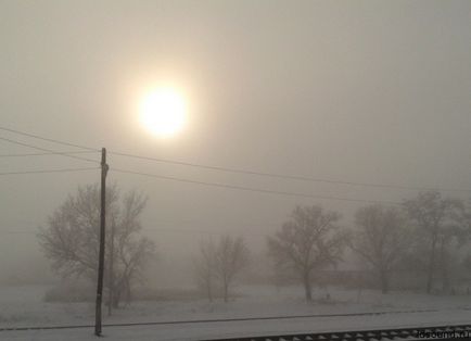 Приклеювання натурального шпону файн-лайн на фанеру клеєм «момент-столяр»