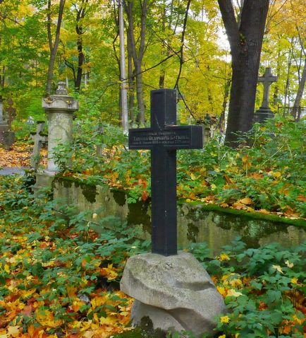 Mergând de-a lungul cimitirului Smolensk - istoria pisicii omului de știință