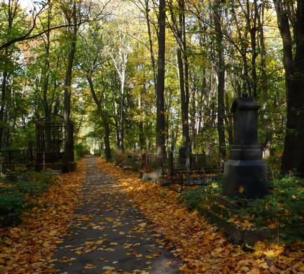 Mergând de-a lungul cimitirului Smolensk - istoria pisicii omului de știință