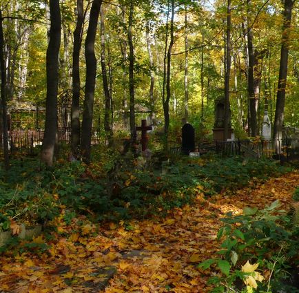 Mergând de-a lungul cimitirului Smolensk - istoria pisicii omului de știință