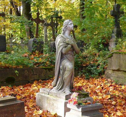 Mergând de-a lungul cimitirului Smolensk - istoria pisicii omului de știință