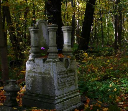 Mergând de-a lungul cimitirului Smolensk - istoria pisicii omului de știință
