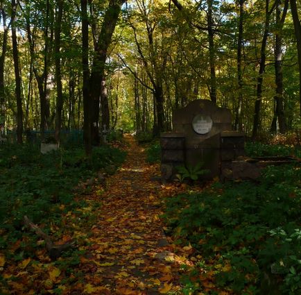 Mergând de-a lungul cimitirului Smolensk - istoria pisicii omului de știință