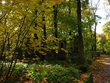 Mergând de-a lungul cimitirului Smolensk - istoria pisicii omului de știință