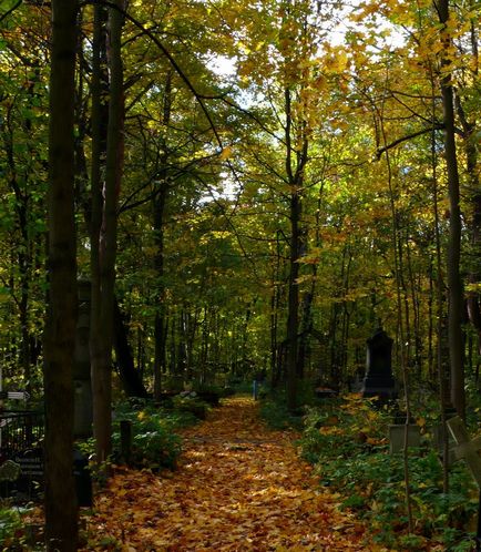 Mergând de-a lungul cimitirului Smolensk - istoria pisicii omului de știință