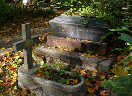 Mergând de-a lungul cimitirului Smolensk - istoria pisicii omului de știință