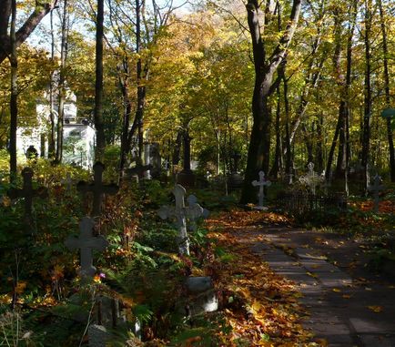 Mergând de-a lungul cimitirului Smolensk - istoria pisicii omului de știință