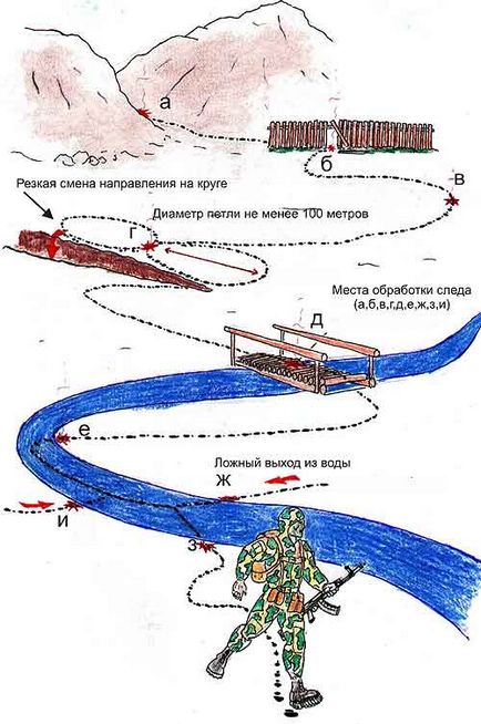 Contracararea tacticii câinilor