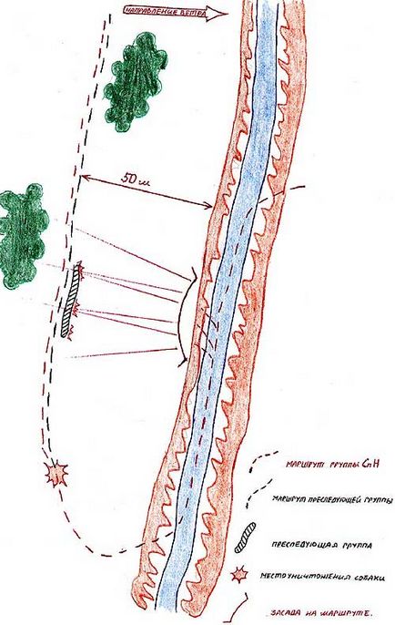 Contracararea tacticii câinilor