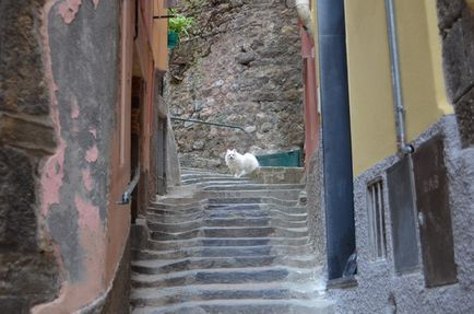 Povești de călătorie