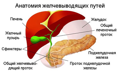 Cancerul vezicii biliare - diagnostic, simptome ale cancerului vezicii biliare