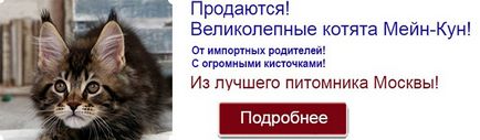 Рецепт різотто від Ектор Хіменес-Браво - готуємо з вами