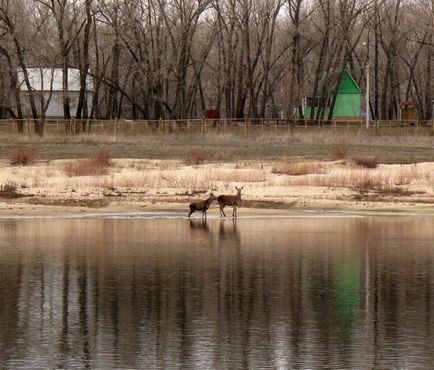 Риболовля на Ахтубі в районі Полтаваа