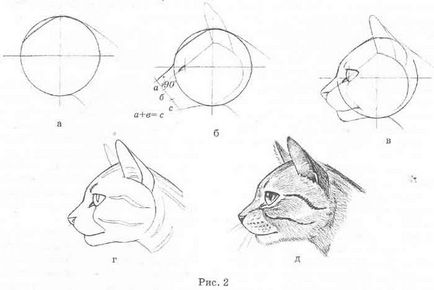 Малюємо голову кішки