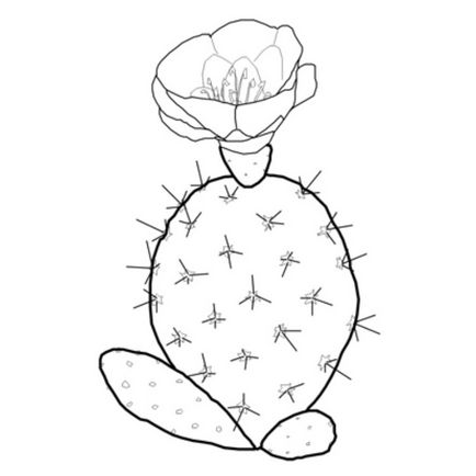 Desenarea unui cactus înflorit
