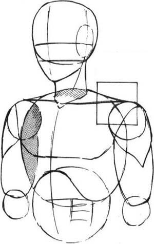 Малюнок людини (чоловічі пропорції), блог оксани Байрамі (оксани Андрієвської)