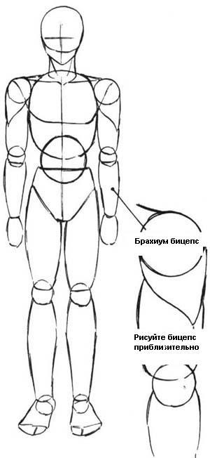 Figura unui bărbat (proporții masculine), blogul Oxanei Baira (Oxana Andriyevskaya)