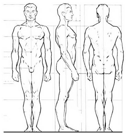 Figura unui bărbat (proporții masculine), blogul Oxanei Baira (Oxana Andriyevskaya)