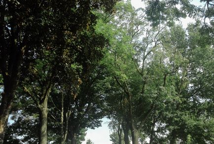 Szász-Svájc - Nemzeti Park Bastei, hogyan lehet a Berlin és Drezda (nemzeti) Szász-Svájc - Nemzeti Park Bastei hogyan jutunk el a Berlin és Drezda