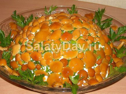 Salata de ciuperci de luncă - decorarea oricărei rețete de masă festivă cu fotografie și video