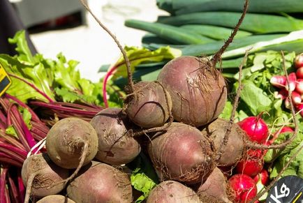 Cole Slaw saláta - egy recept egy fotó