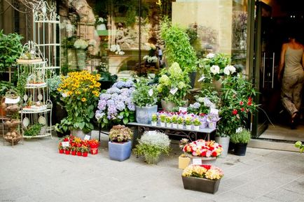 Cele mai frumoase magazine de flori din lume, un buchet cu mâinile proprii