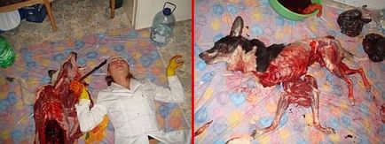 A sokk a hét fotózásra hallgatók egy megcsonkított kutya ukraїnska igaz _zhittya