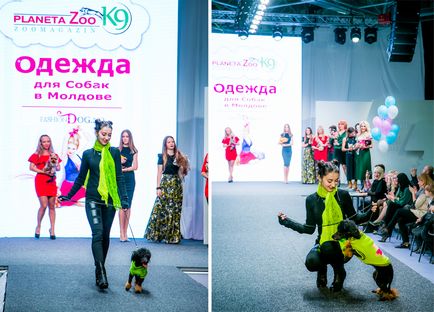 Шоу-показ модного одягу для собак на «artpodium-2015», мій світ у фотографіях