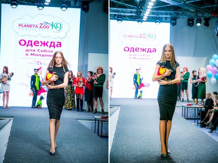 Шоу-показ модного одягу для собак на «artpodium-2015», мій світ у фотографіях