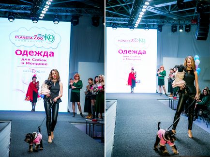 Шоу-показ модного одягу для собак на «artpodium-2015», мій світ у фотографіях