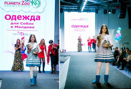 Шоу-показ модного одягу для собак на «artpodium-2015», мій світ у фотографіях