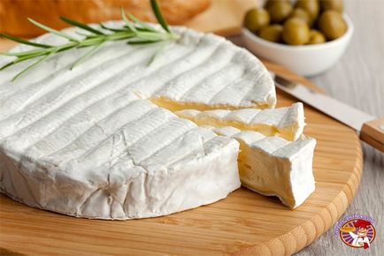 Brânză brie de gătit, proprietăți utile