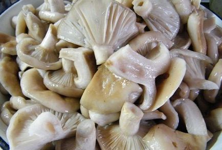 Cât de mult să gătești ciupercile înainte de sărare, că au scăpat de amărăciune