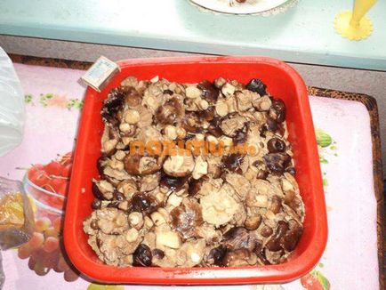 Podtopolniki sărat - bomboane cu usturoi pe o rețetă foto pentru iarnă