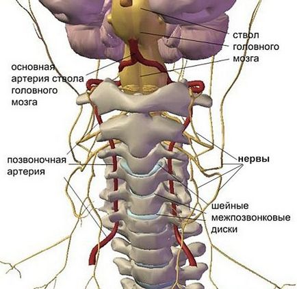 Spitale ale cauzei, simptome, diagnostic și tratament